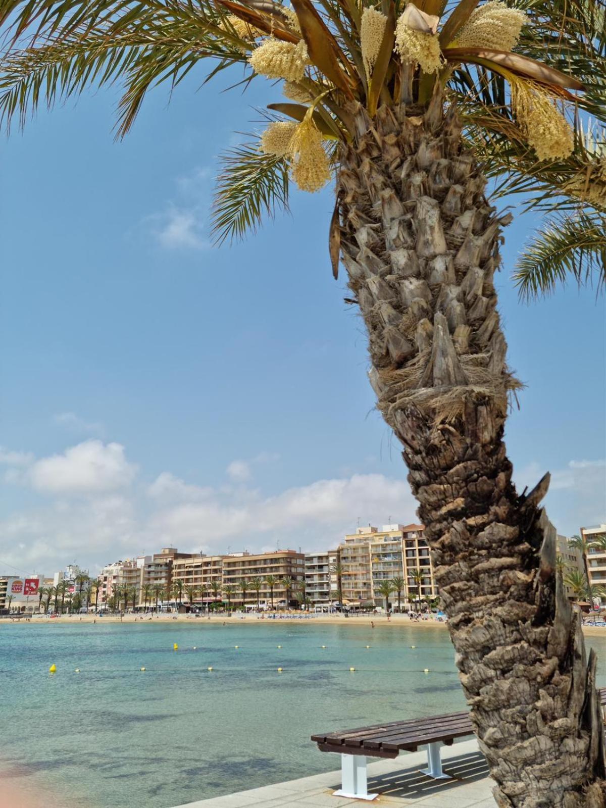 טורבייחה Apartamentos Palangres מראה חיצוני תמונה